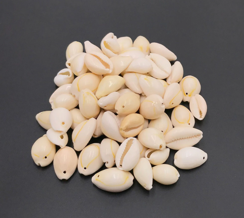 Cowrie shells